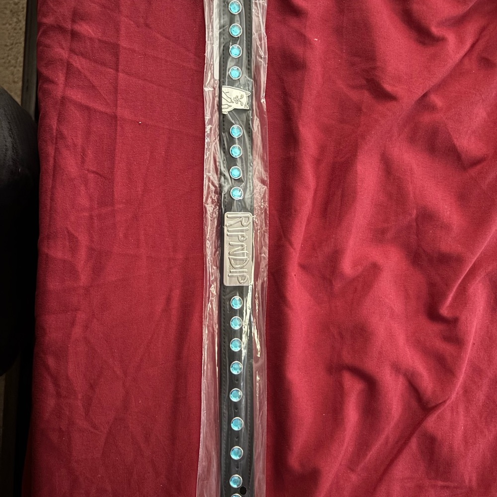 RIPNDIP Lord Nermal studded pet collar!